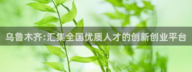 彩名堂怎么用不了了