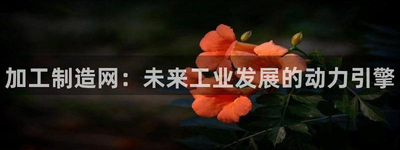 彩名堂最新免费计划官网