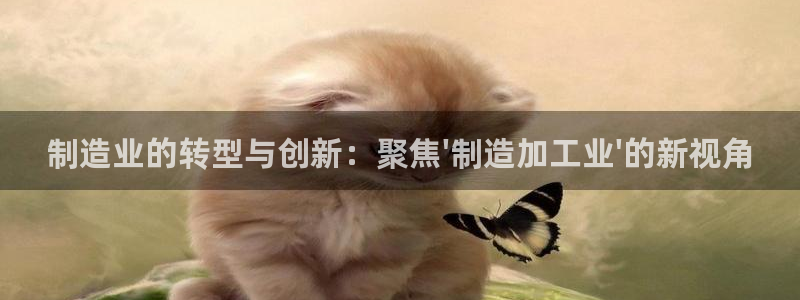 彩名堂计划官方下载网址