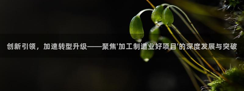 彩名堂官方软件下载