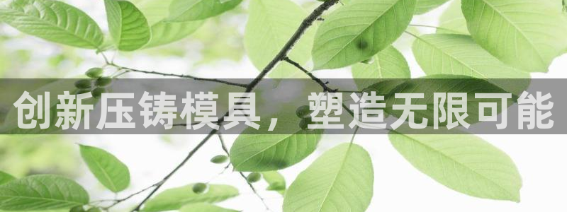 彩名堂计划官方下载网址