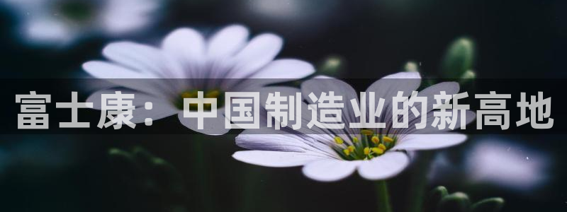 彩名堂v1.0.6