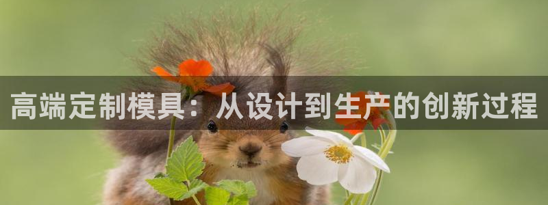 彩名堂app计划官方网站
