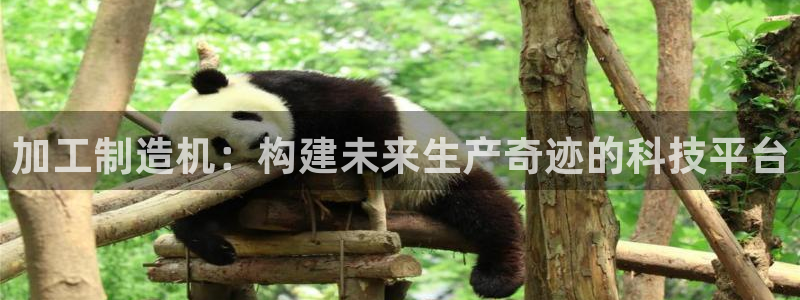 彩名堂到底怎么看,一跟就挂
