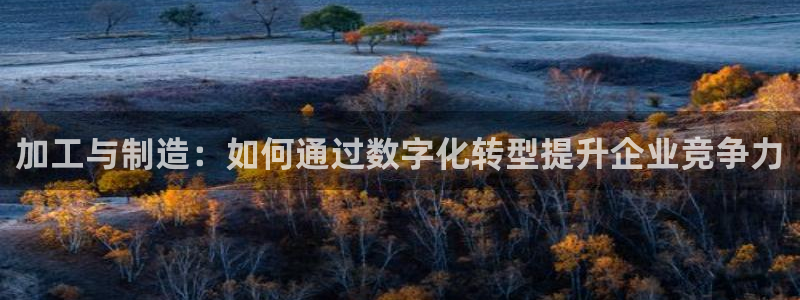 正规彩名堂官网计划