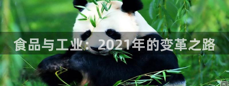 彩名堂怎么打最稳