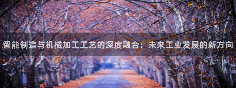 彩名堂计划技巧