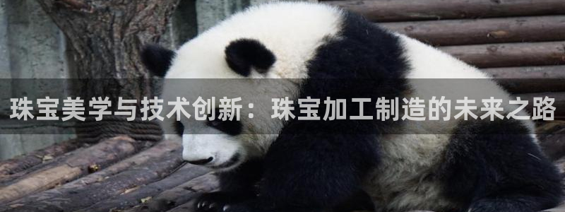 彩名堂预测免费计划