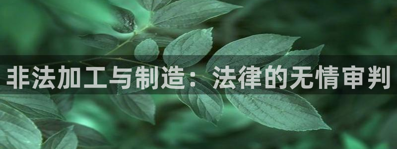 彩名堂预测软件与分析软件区别