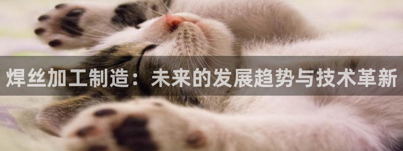 彩名堂计划官网客户端