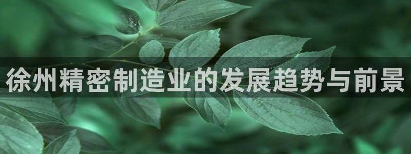 彩名堂怎么买准确率高一点