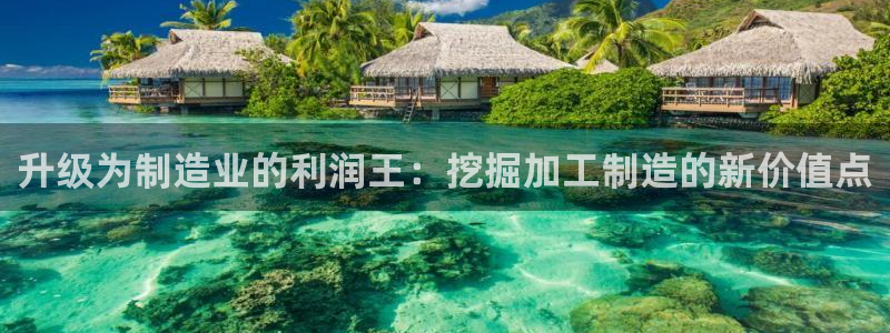 彩名堂二维码