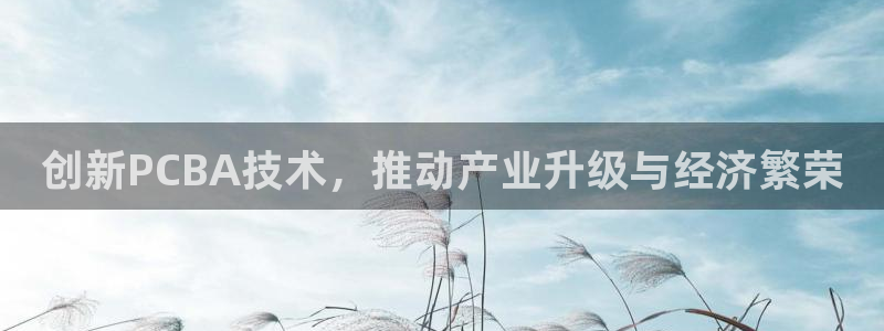 彩名堂人工计划客户端