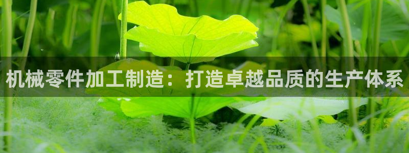 彩名堂怎么选稳定计划产品