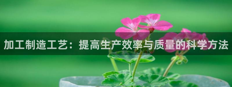 谁知道彩名堂网站是多少