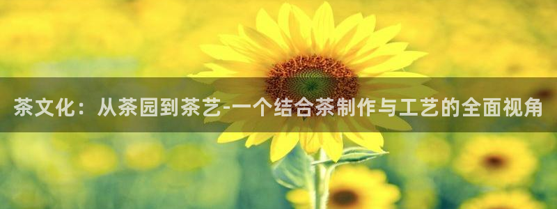 正规彩名堂官网计划01