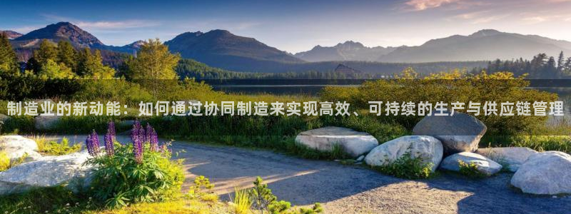 彩名堂手机客户端官网