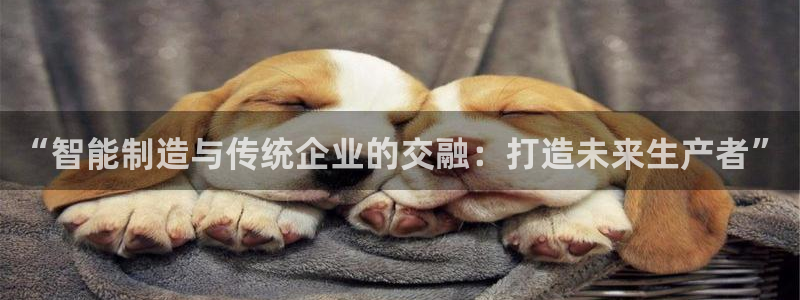 彩名堂预测