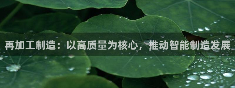 彩名堂5.0计划