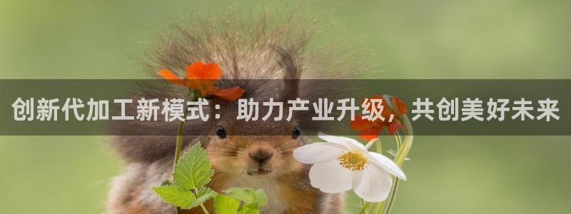 彩名堂怎么买准确率高