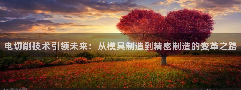 彩名堂是不是坑人的东西
