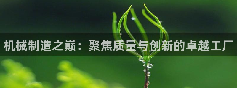 彩名堂计划技巧