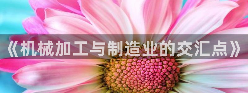 彩名堂预测软件