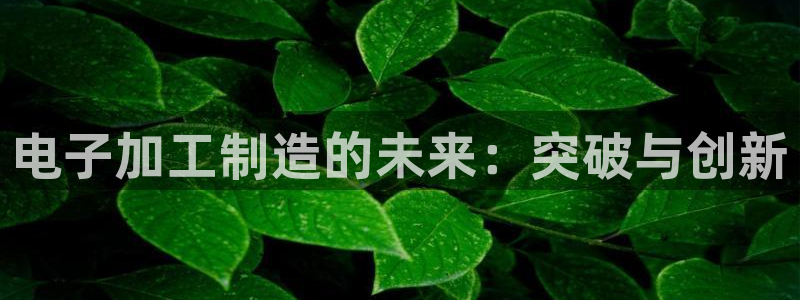 彩名堂预测软件与分析