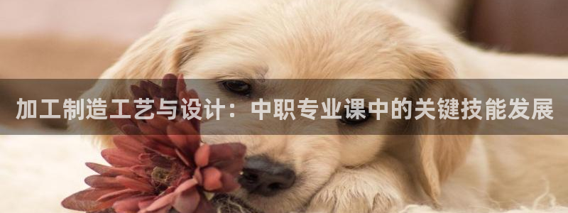 彩名堂好用还是千里马好用一点