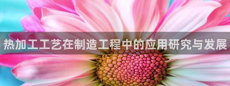 彩名堂官网2
