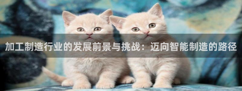 彩名堂计划怎么跟,为什么我一跟就挂
