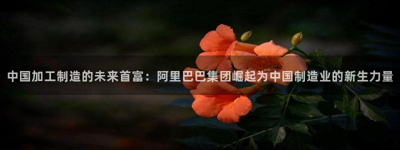 彩名堂计划怎么买胜率高
