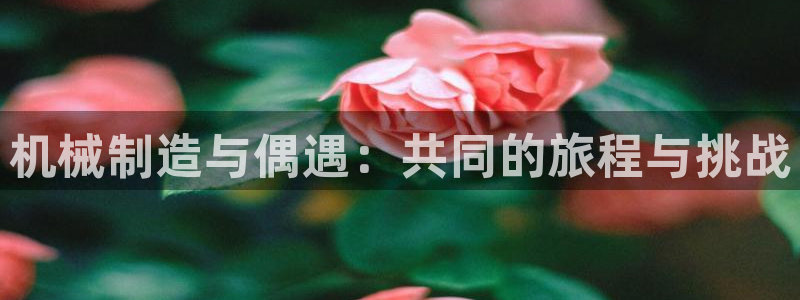 彩名堂人工计划怎么找不到下载了?