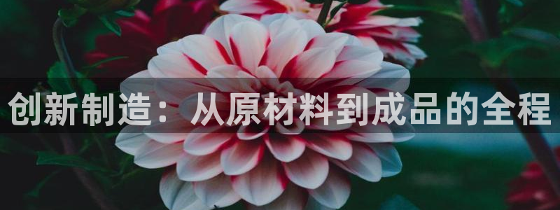 彩名堂好用还是千里马好用