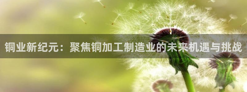 彩名堂官网网页计划
