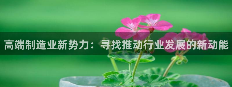 彩名堂人工预测免费计划