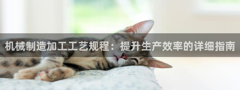 彩名堂手机版官网