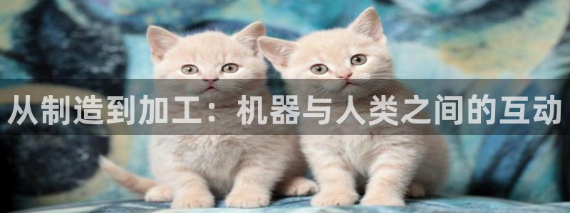 正规彩名堂官网计划01