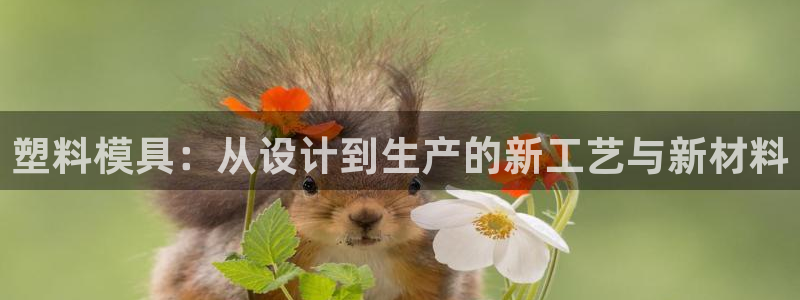 彩名堂免费计划软件下载