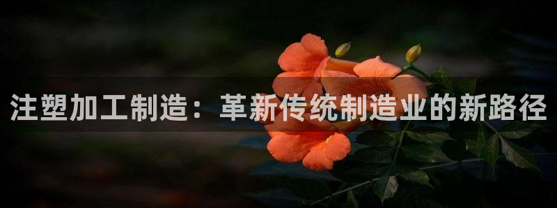彩名堂计划技巧有哪些