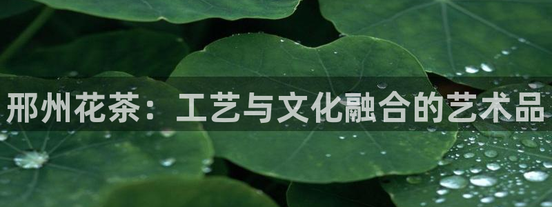 彩名堂5.0版计划怎么用不了