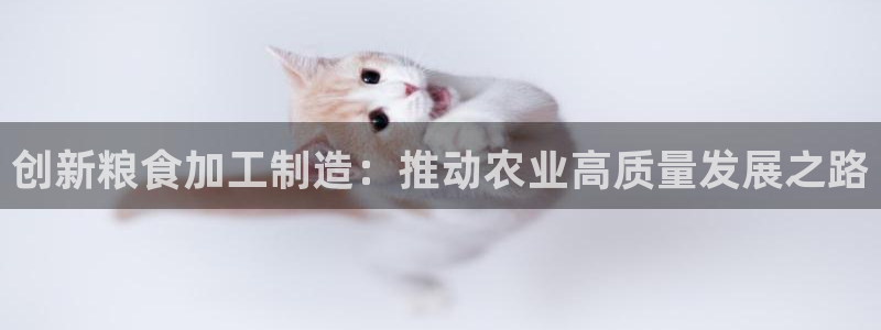 彩名堂首页