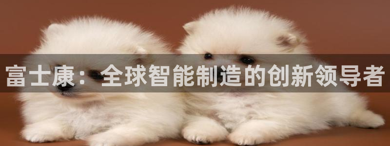 彩名堂最新版www