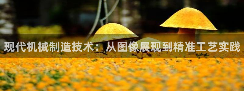 彩名堂预测计划软件