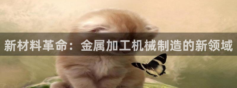 彩名堂5.0版计划怎么用不了