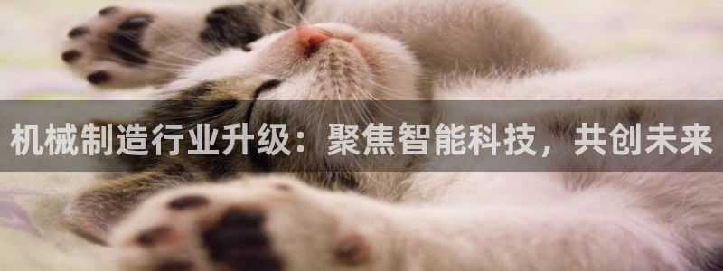 彩名堂4.3