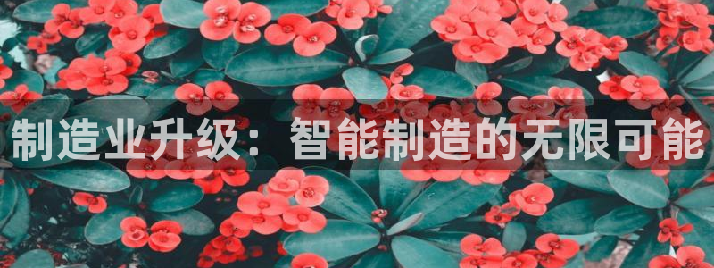 彩名堂免费计划5.0使用方法是什么