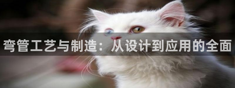 彩名堂客户端是永久免费吗