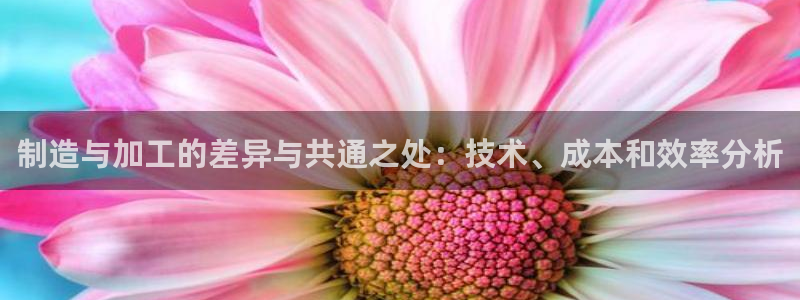 彩名堂一直不出结果怎么回事呢