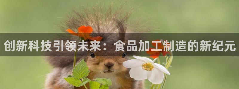 彩名堂.netnet
